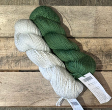 Load image into Gallery viewer, Carter Granny Bag Kit