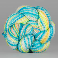 Load image into Gallery viewer, Dyed in the Wool