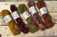 Load image into Gallery viewer, Variations Shawl Kit
