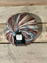 Load image into Gallery viewer, Supersocke 8-ply