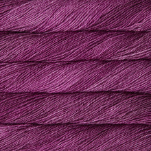 Load image into Gallery viewer, Malabrigo Dos Tierras