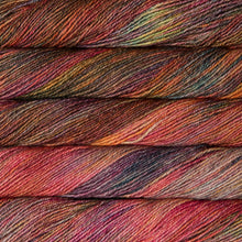 Load image into Gallery viewer, Malabrigo Dos Tierras