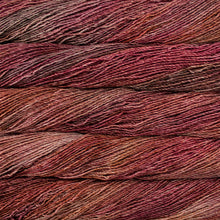 Load image into Gallery viewer, Malabrigo Dos Tierras