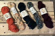 Load image into Gallery viewer, Variations Shawl Kit