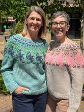 Load image into Gallery viewer, Minnesota Loon Sweater KAL