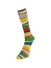 Load image into Gallery viewer, Eclectic Sock