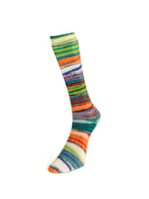 Load image into Gallery viewer, Eclectic Sock