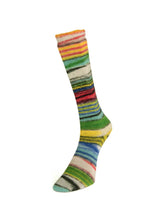 Load image into Gallery viewer, Eclectic Sock