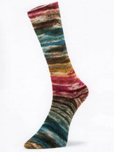 Load image into Gallery viewer, Mad Socks