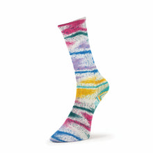 Load image into Gallery viewer, Summer Socks Fancy