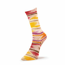 Load image into Gallery viewer, Summer Socks Fancy