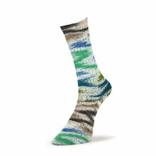 Load image into Gallery viewer, Summer Socks Fancy