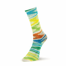 Load image into Gallery viewer, Summer Socks Fancy