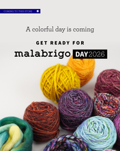Load image into Gallery viewer, Malabrigo Day VIP