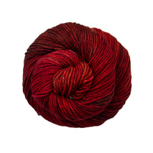 Load image into Gallery viewer, Malabrigo Rios