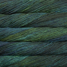 Load image into Gallery viewer, Malabrigo Rios