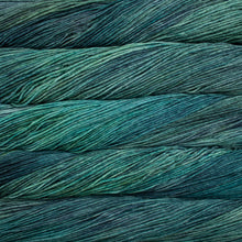 Load image into Gallery viewer, Malabrigo Rios