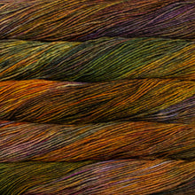 Load image into Gallery viewer, Malabrigo Rios