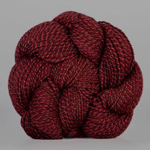 Load image into Gallery viewer, Dyed in the Wool